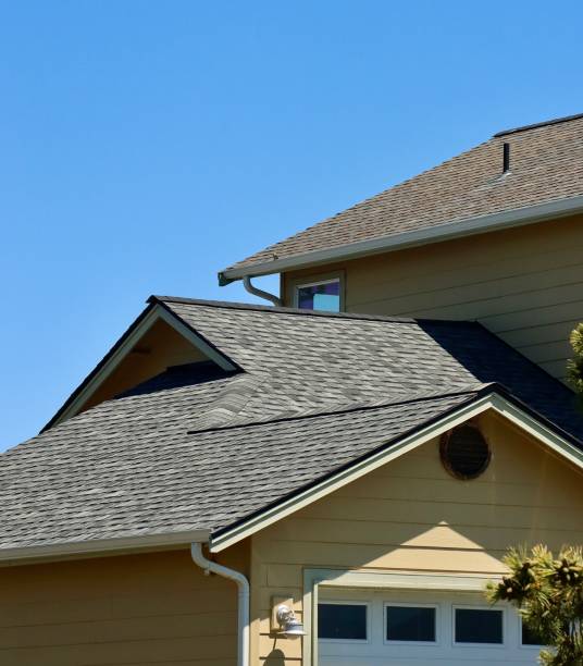 Best Roof Ventilation Installation  in Potosi, TX